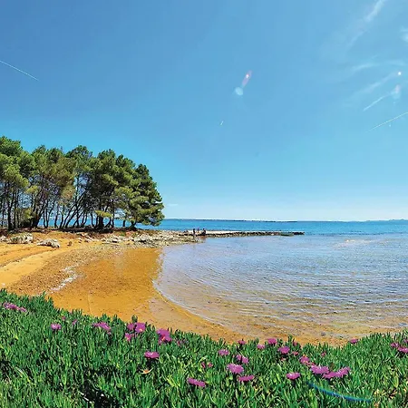 Apartament Gorgeous In With Kitchen *