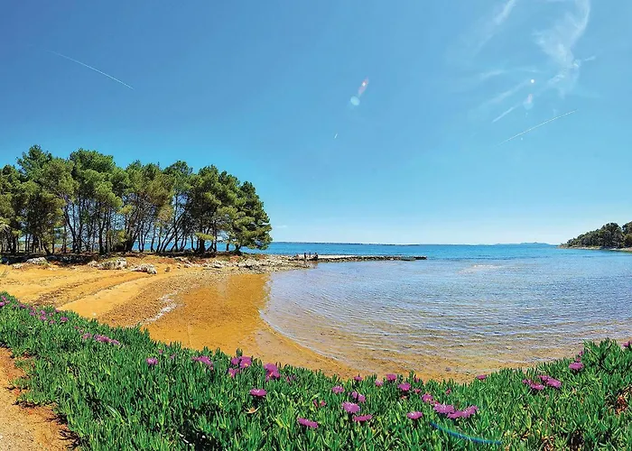 Apartman Gorgeous In With Kitchen *